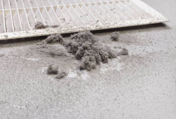Best Affordable Duct Cleaning Services  in Cottonwood Heights, UT